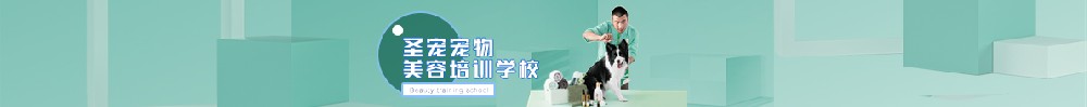 圣寵寵物美容學校