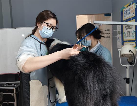 acbddd21424926d335b3134230fa2cb5_origin(1)_看圖王.jpg