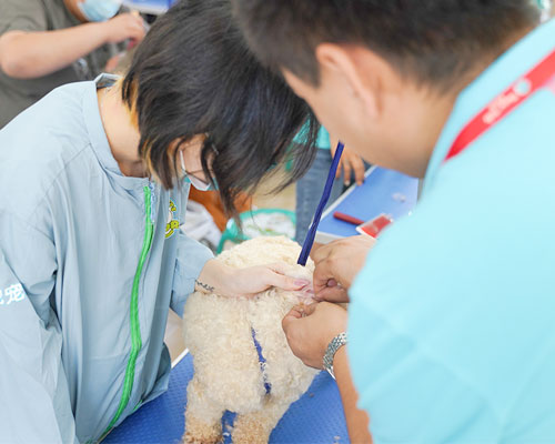 1695893175164923.jpg 12.jpg