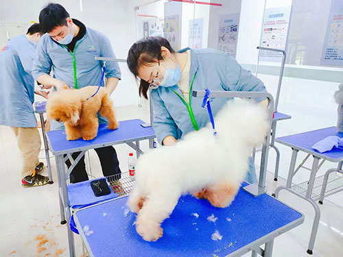 1695893338411368.jpg 48.jpg