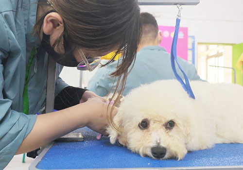 1704875407874555.jpg 1.jpg