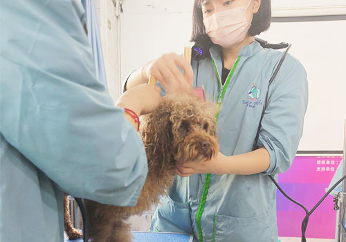 1704875441174742.jpg 2.jpg