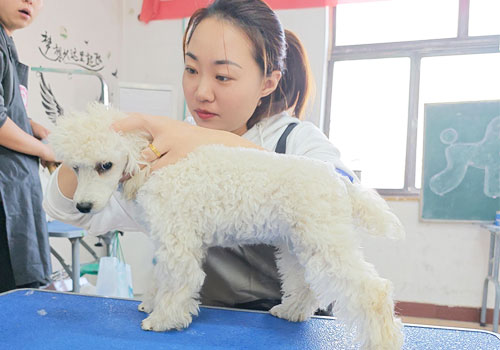 1704875486646122.jpg 3.jpg