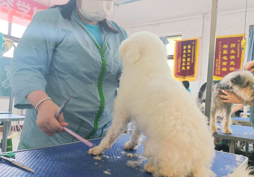 1704875530888500.jpg 4.jpg