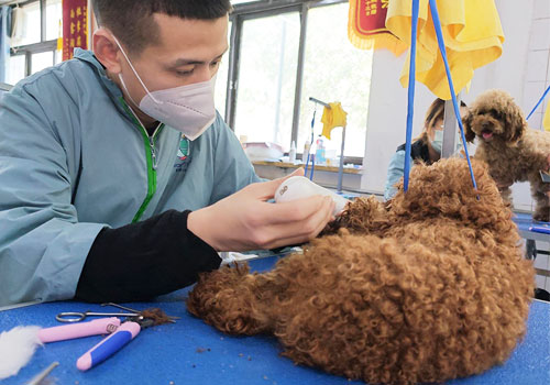 1704875566136291.jpg 5.jpg