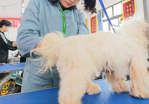 1704875602303137.jpg 6.jpg