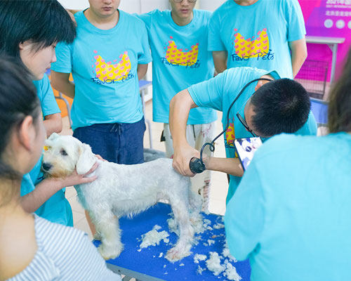 1708941127708258.jpg 6.jpg