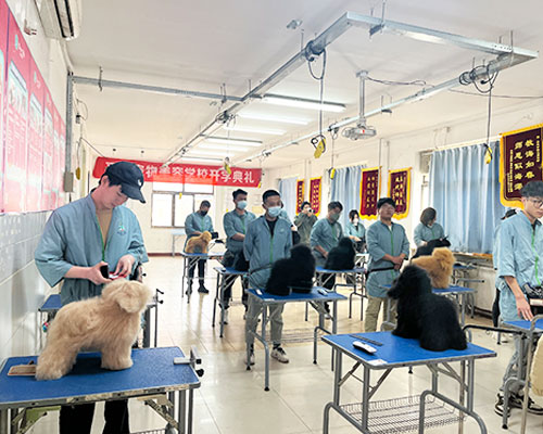 1709546096831751.jpg 22.jpg