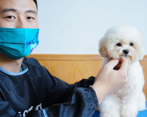 1710583130602062.jpg 15.jpg