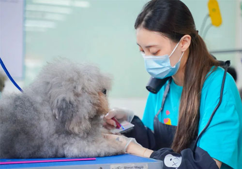 1710755369580629.jpg 66.jpg