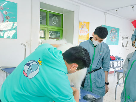 1710927364957765.jpg 30.jpg