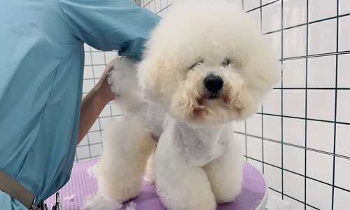 1711098584273339.jpg 55.jpg