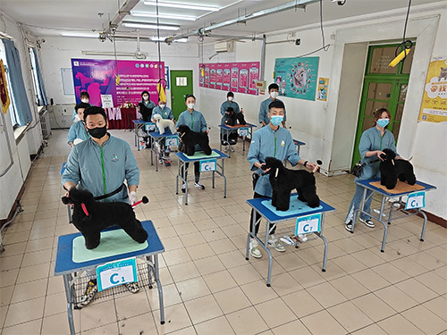 1711359408622252.jpg 3.jpg