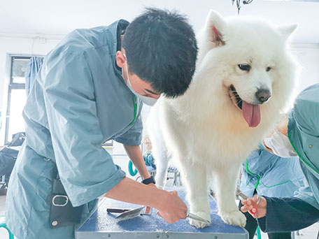 1711532124597005.jpg 31.jpg