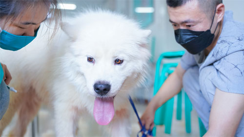 1711705868500656.jpg 3.jpg