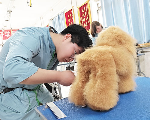 1711792305394384.jpg 18.jpg