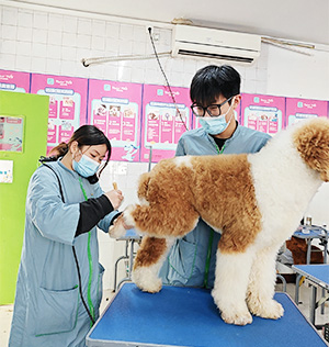 1711792374551791.jpg 15.jpg