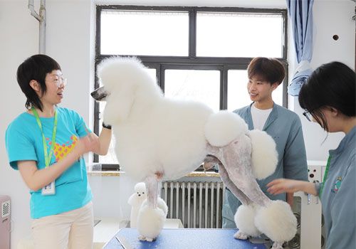 1712136093632531.jpg 11.jpg