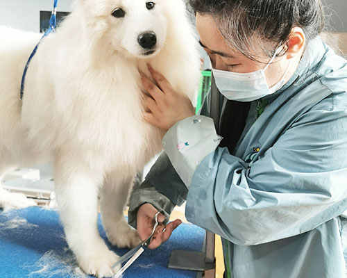 1713000521565336.jpg 24 (2).jpg