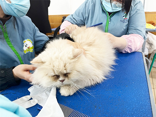 1713168143257937.jpg 10 (2).jpg