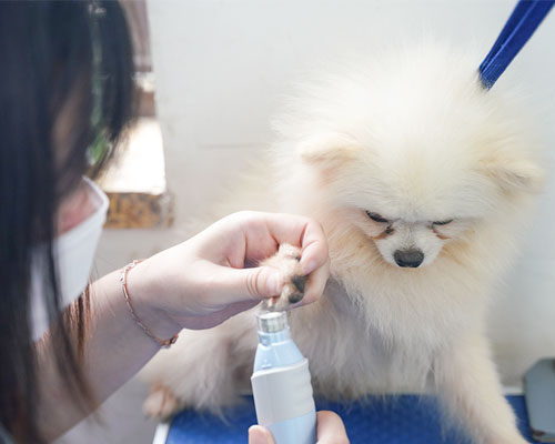 1713173020241999.jpg 11.jpg