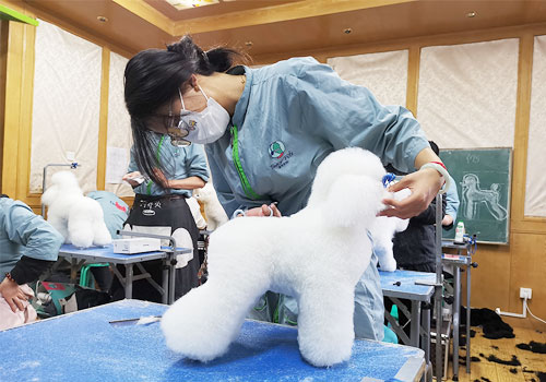 1713347281942986.jpg 7.jpg