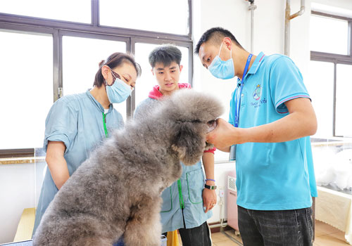 1713517319335122.jpg 2.jpg