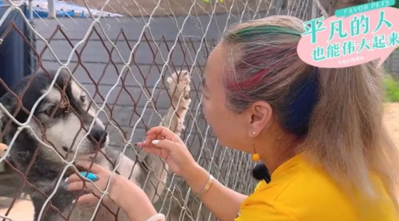 1719367953133497.jpg 640.jpg