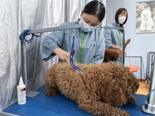 1725951019662351.jpg 796cb40bd26cebfa8690b5349f7764af_origin(1)(1).jpg