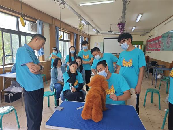 1726902786841402.jpg 0a6fd9f2897e752f095d025b343b85dc_compress(1).jpg