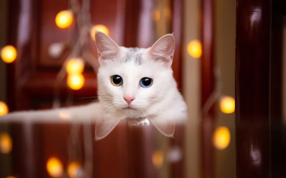 1728713496628254.jpg 640.jpg