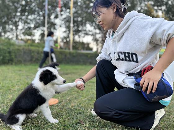 1729567539802642.jpg d4ff7631-3bbf-4263-878e-d63ce3df6a12.jpg