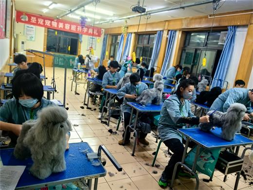 1729825551514411.jpg 989cc4285a2ad642140cf194c29090fd_origin(1).jpg