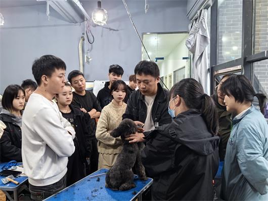 1730775428681023.jpg 5bf273668c6fbf210cac5175d2628a5e_origin(1).jpg