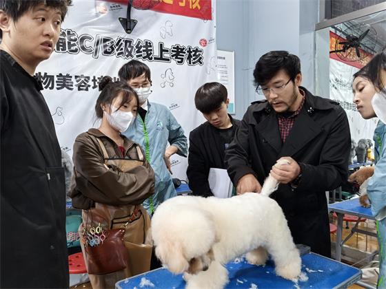 1731378556565337.jpg f5a55ad6bf4f49c1070072483e19298f_origin(1).jpg