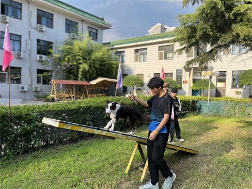 1732346595223890.jpg 438b7613-5805-46bc-bf02-bbf4dd23b159.jpg