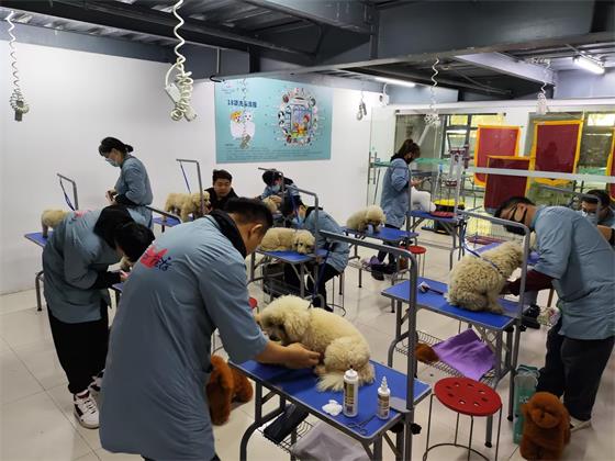 1733281038516831.jpg 653b11b09d663b9bd8cb5b02b1f78b59.jpg