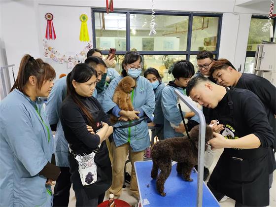 1734073501652842.jpg 708f7e280991c4f45001ef472d76ab8c.jpg