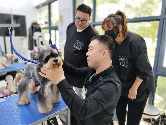 1734752434468341.jpg 38540c71bc4ae9270224ab5aa574a213.jpg