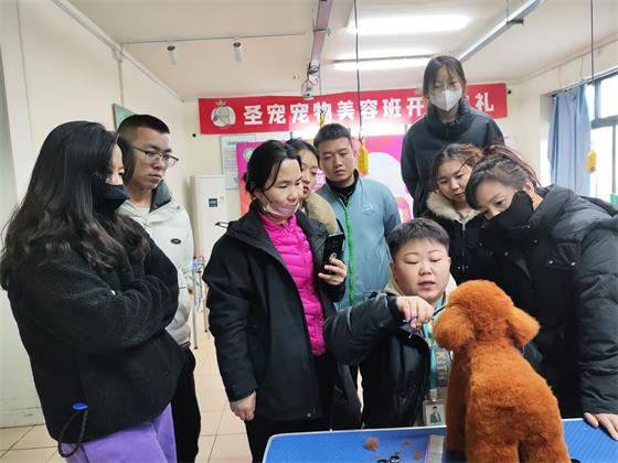 1736748914391696.jpg d1514563e7f1f9ea9cc953e226cd81ec.jpg