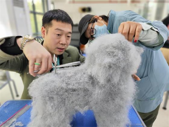 1740454500334177.jpg 3142a0497dadbdb7f5bb35009733e588.jpg