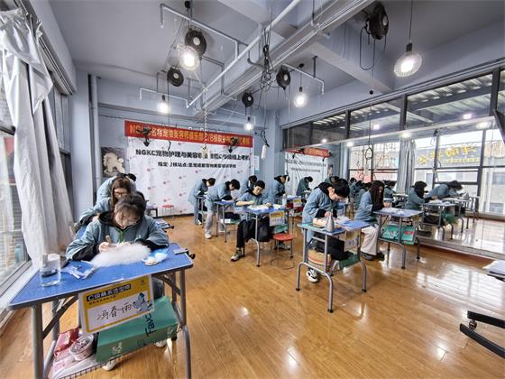 1740732633666886.jpg 5b97d2c1b2be0837a0ce7b75346b673f_origin(1).jpg