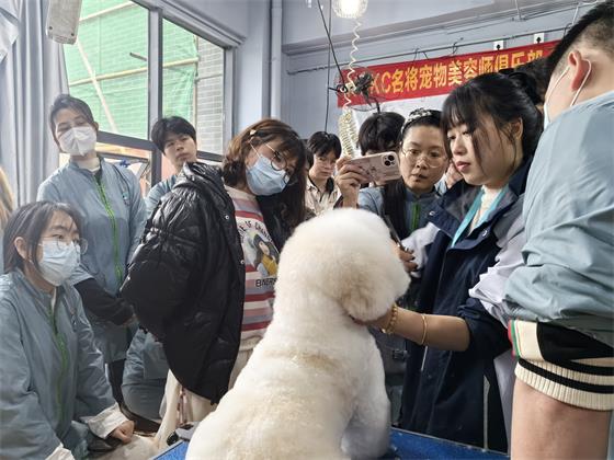 1742270404229576.jpg 06d63bf9fd11ab3b5e42d3c61fd1a1e5_origin(1).jpg