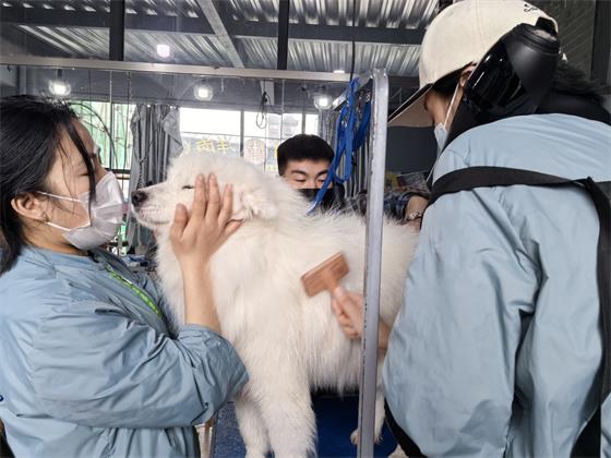 1743230370977590.jpg 764822b141bfec0e72f0112c9c49efe2_origin(1).jpg