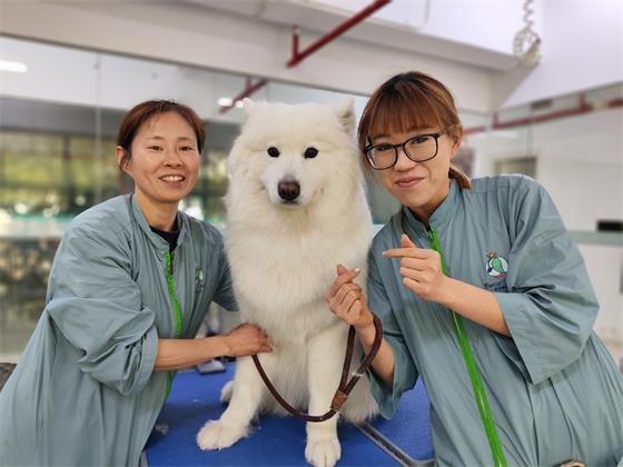 1743497083477782.jpg IMG_20250316_130811(1).jpg