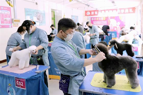 1747127383503557.jpg a49be7a7fcb009d74617827b6cf3923e_compress.jpg