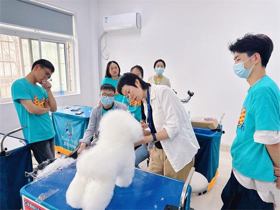 1747386405286052.jpg b95c075dd1a6263fe1e34984417540d3.jpg