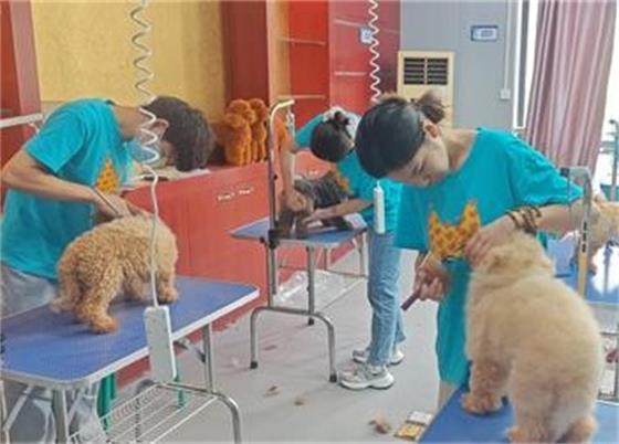 1748422323282770.jpg 2a5e19d1404341db799aaf1f0b8b0343_compress_看圖王.jpg