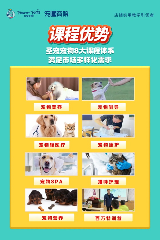 1749107073794429.jpg 640 (1).jpg