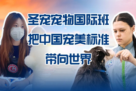 1750152425724850.jpg 640.jpg